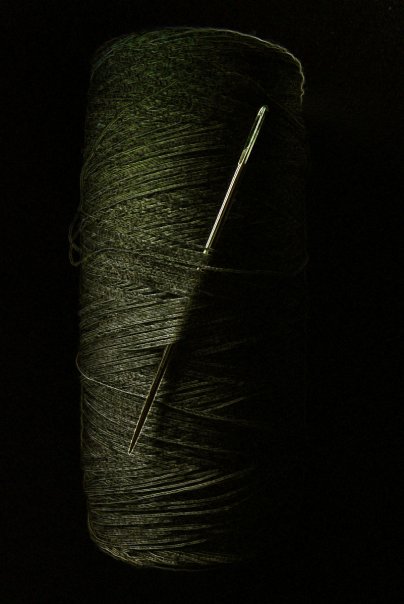 A needle in a haystack