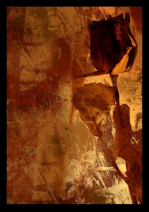 Llamaradas by Marijana Lucic