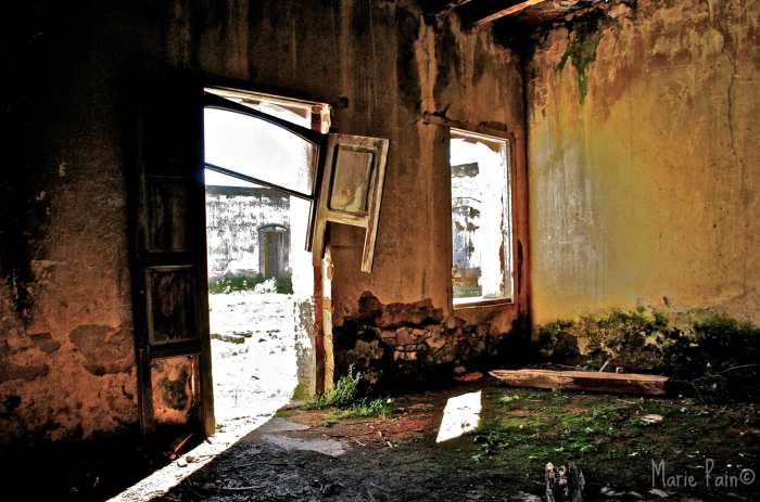 Desvencijado - Marie Pain