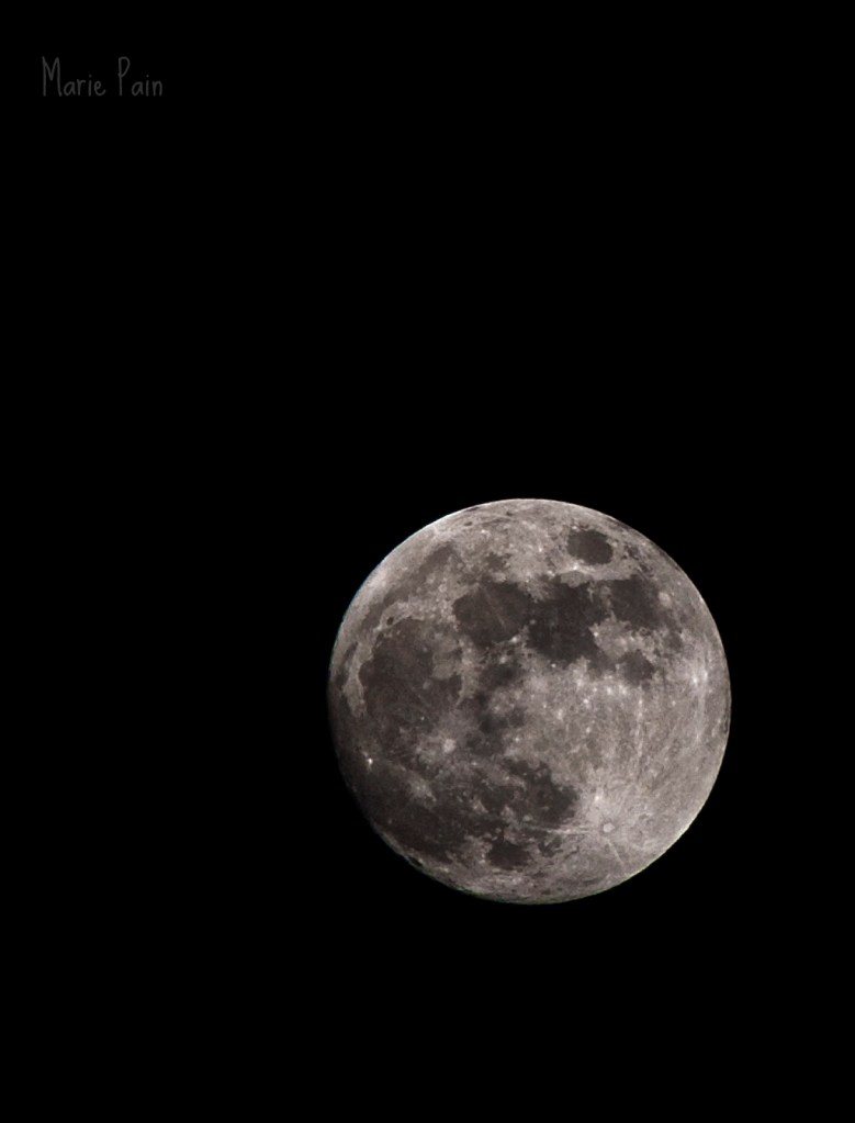Luna - Marie Pain