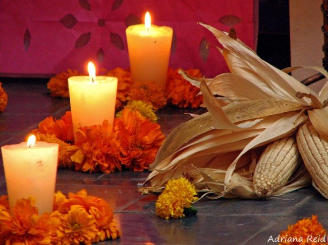 El camino de la muerte - Adriana Reid